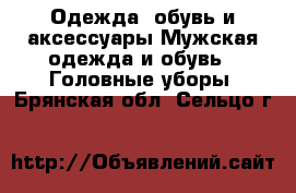 Одежда, обувь и аксессуары Мужская одежда и обувь - Головные уборы. Брянская обл.,Сельцо г.